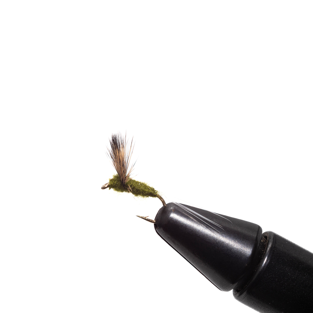 BWO Comparadum (3 Pack)