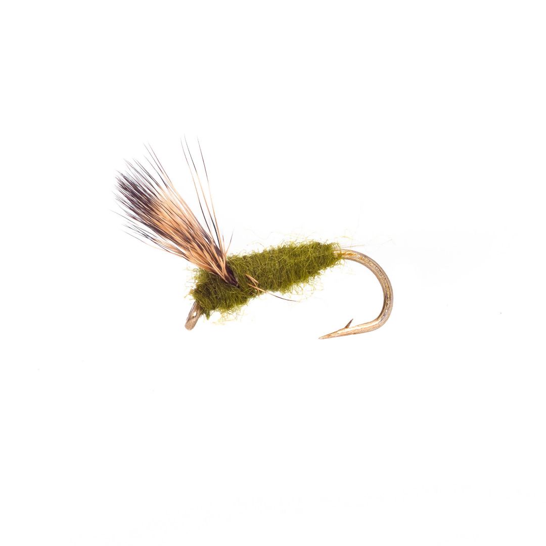 BWO Comparadum (3 Pack)