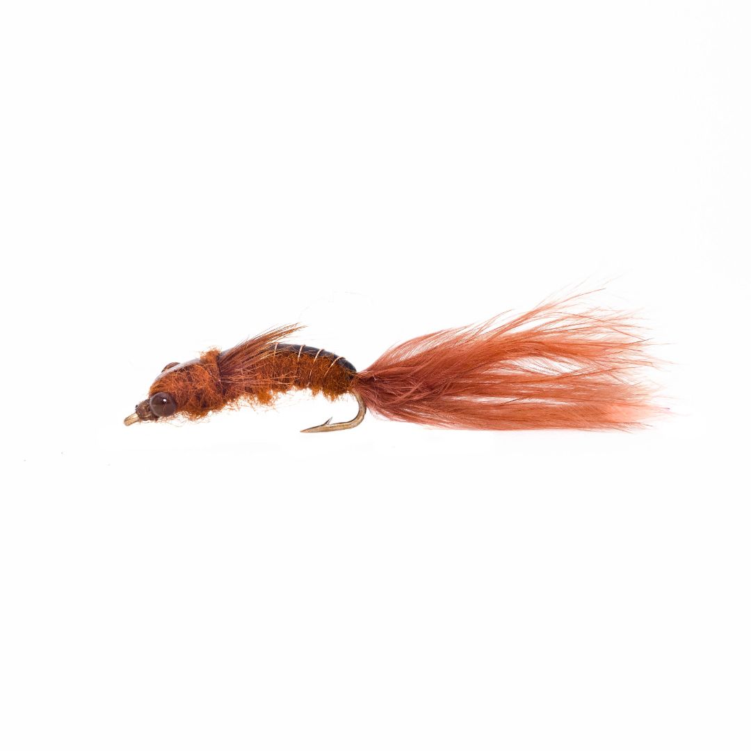 Dragonfly Nymph Fly Pattern (Everything You Need To Know) – Set The Hook  Fishing