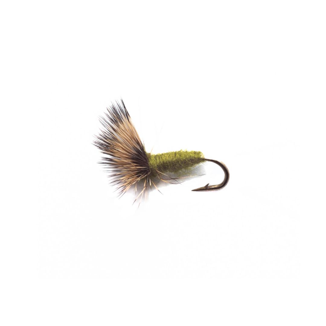 BWO Comparadum (3 Pack)