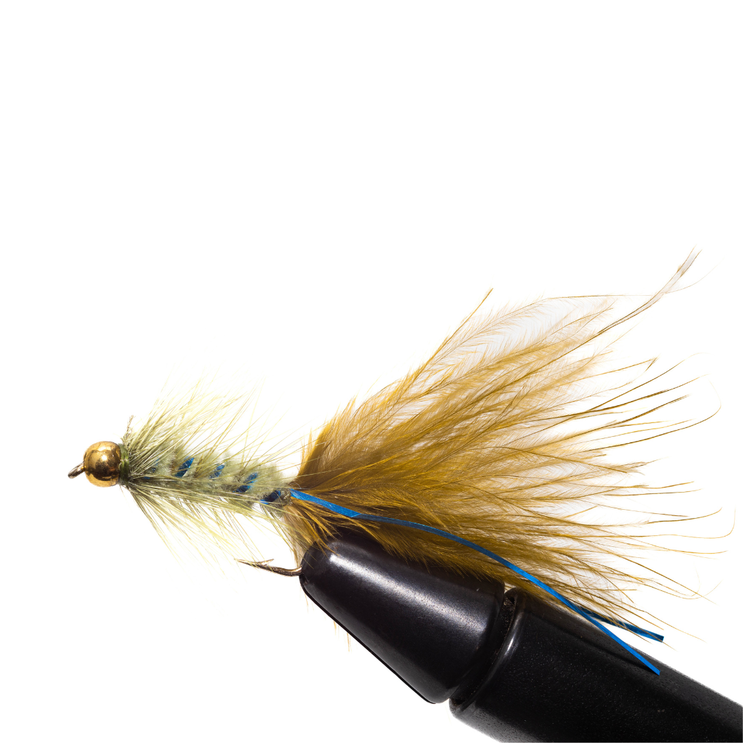 Blue Flash Damsel (3 Pack)