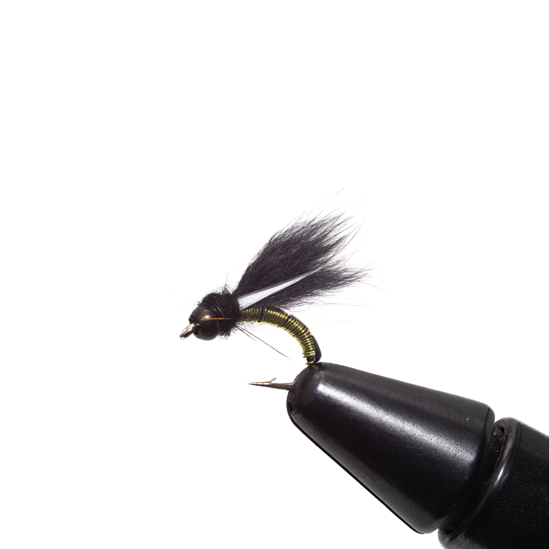 BH Hotwire Caddis (3 Pack)